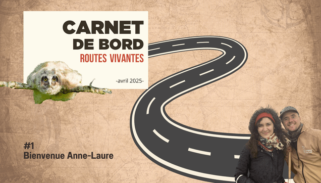 Carnet de bord #1 – Une nouvelle recrue pour rendre les Routes plus Vivantes 🛣️🦉 