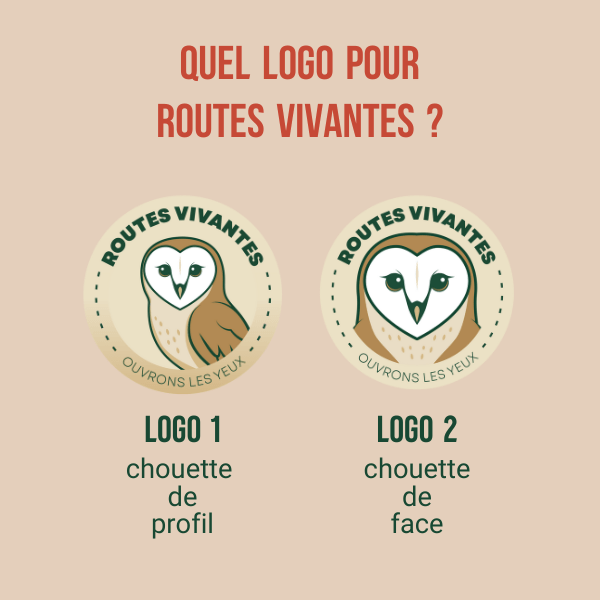 🎨Choix du logo : besoin de votre avis  